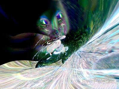 Ascension lumiere.jpg